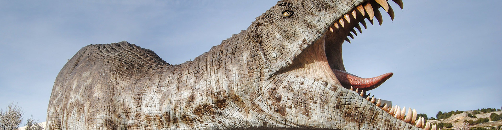 ¡¡¡ Raaawr !!! Página no encontrada